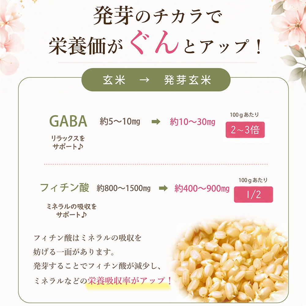 �����ʥ�����+��250g