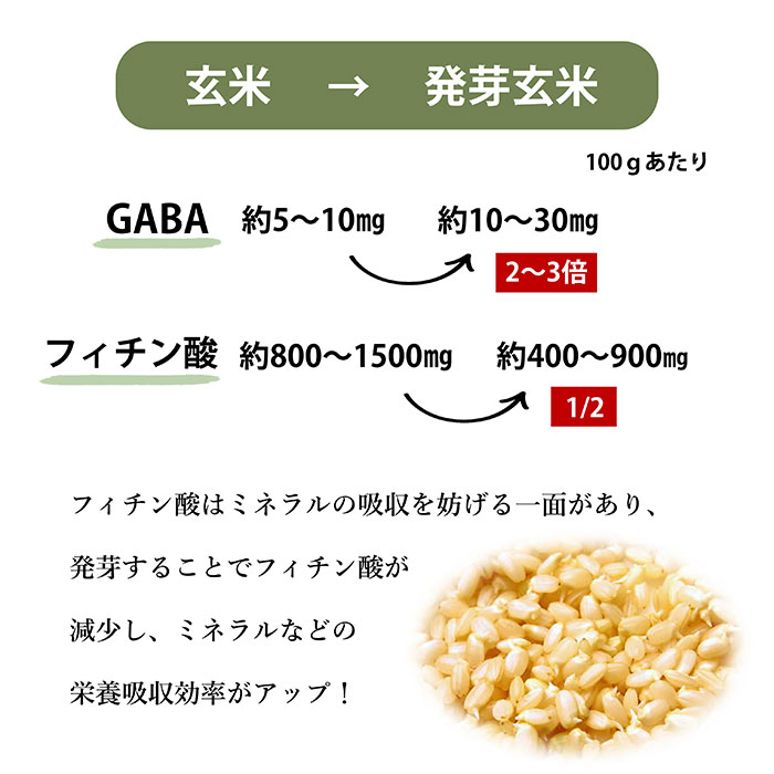 �����ʥ�����+��250g