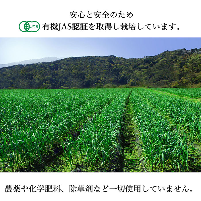 ͭˤˤβ ե졼 20g 3ĥå