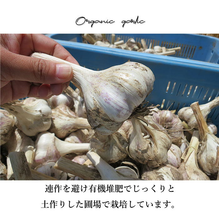 ͭˤˤβ ե졼 20g 3ĥå