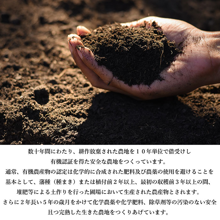 ͭˤˤβ ե졼 20g 3ĥå