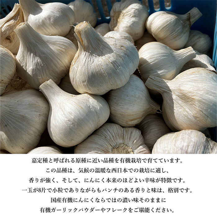 ͭˤˤβ ե졼 20g 3ĥå