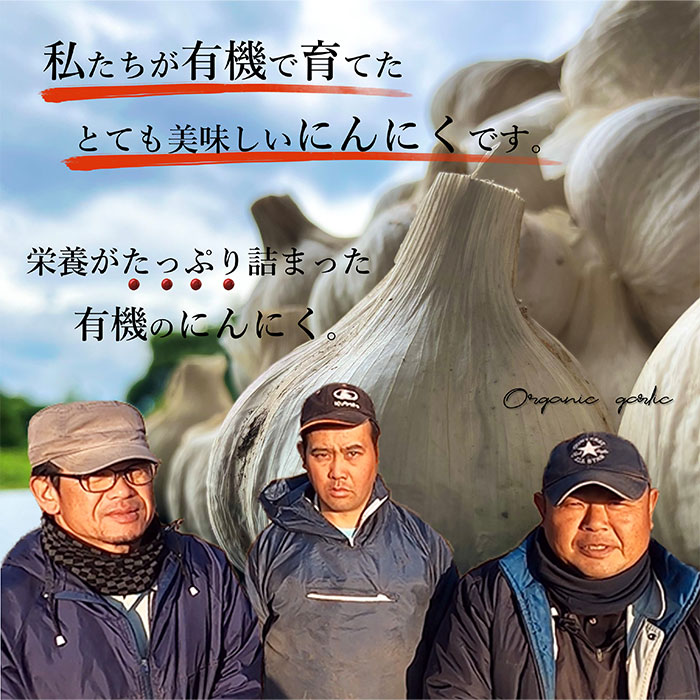 ͭˤˤβ ե졼 20g 3ĥå