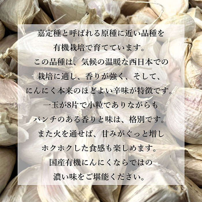 ��������� ͭ���ˤ�ˤ� �Х�