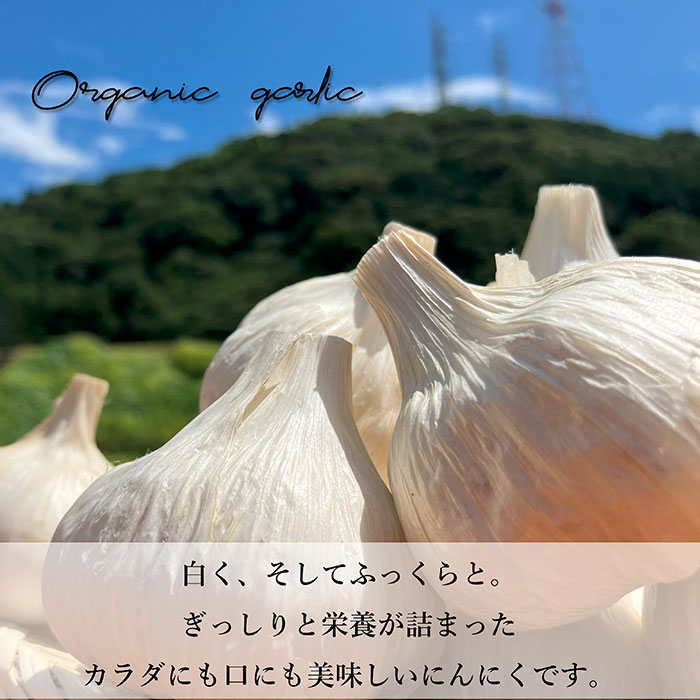 ��������� ͭ���ˤ�ˤ� �Х�