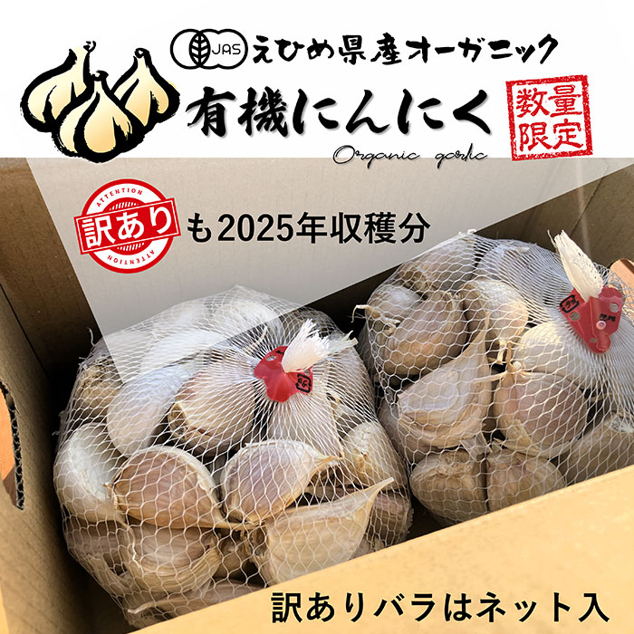 ��������� ͭ���ˤ�ˤ� �Х�