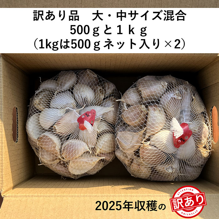 ��������� ͭ���ˤ�ˤ� �Х�