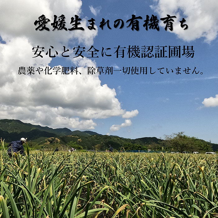 ��������� ͭ���ˤ�ˤ� �Х�