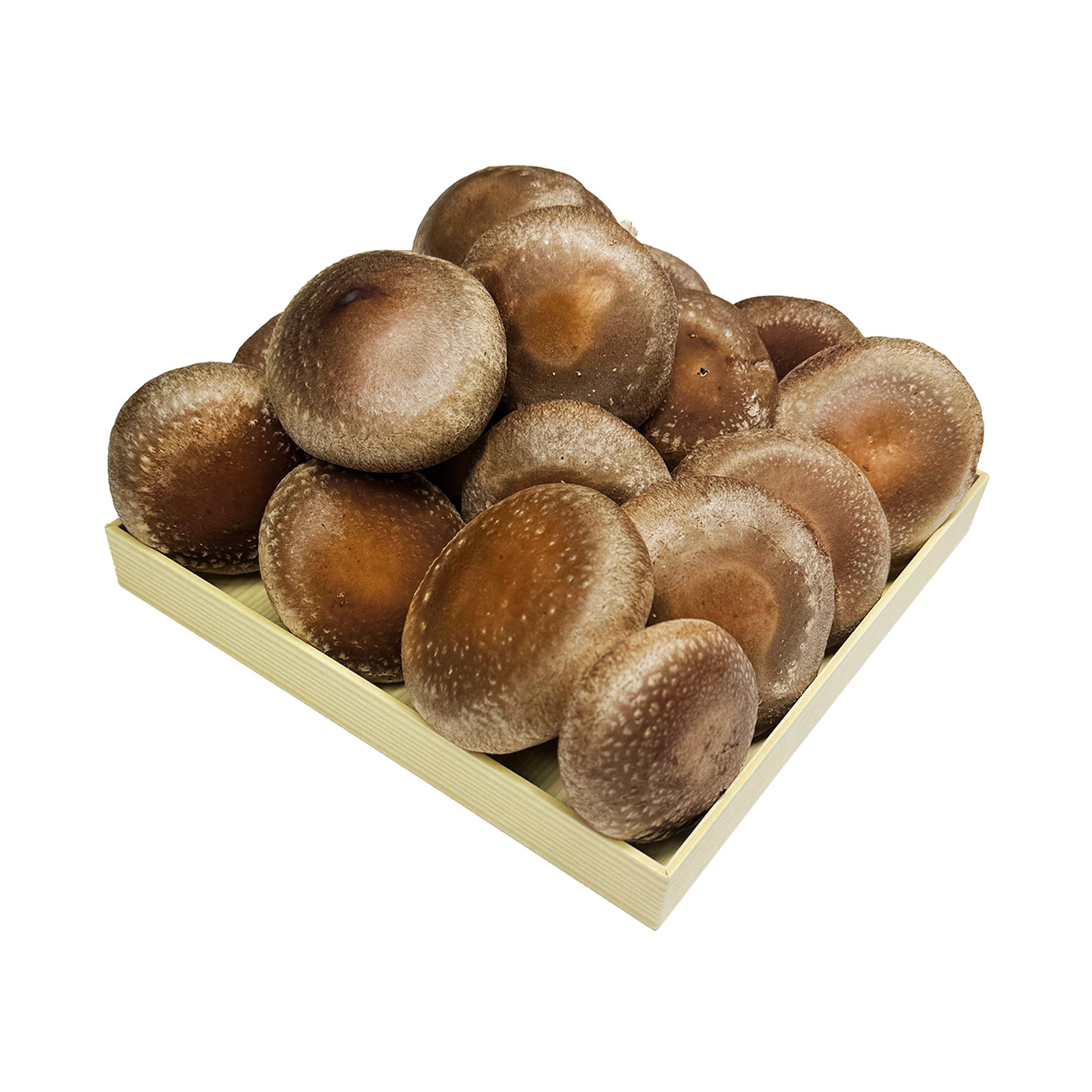 静岡県伊豆の国市産 小野農園の生椎茸 １KG