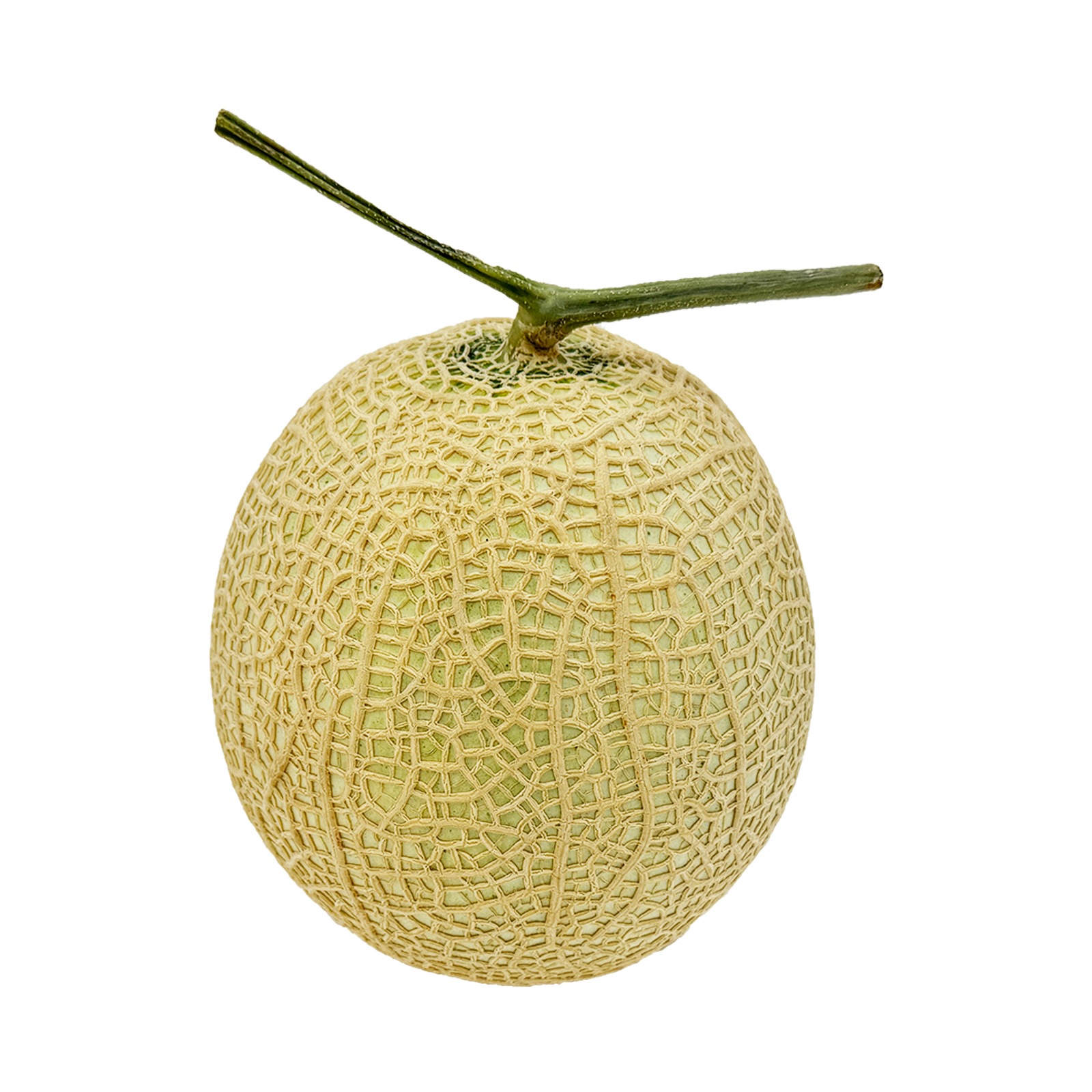 静岡県産 クラウンアールスメロン