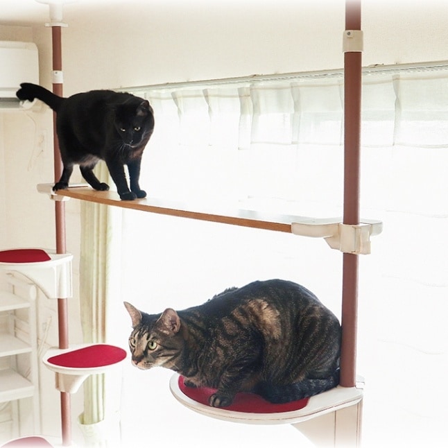 ドギーマン】Nekoリビング キャティ―SKYウォーク | 猫用品