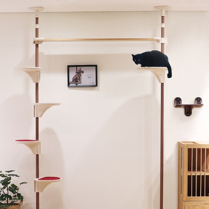 ドギーマン】Nekoリビング キャティ―SKYウォーク | 猫用品