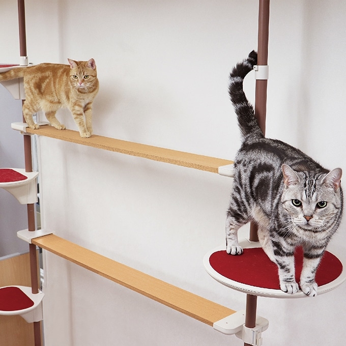 ドギーマン】Nekoリビング キャティ―SKYウォーク | 猫用品
