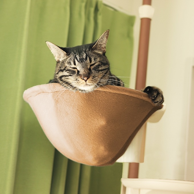 ドギーマン Nekoリビング キャティーポール ハンモック キャットタワー ヨドバシ.com - ドギーマンハヤシ ドギーマン nekoリビング