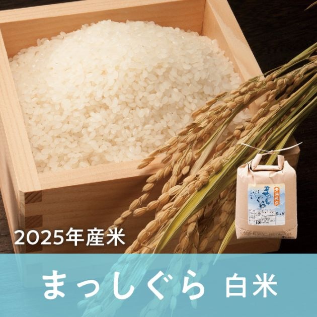 青森県産 まっしぐら 白米