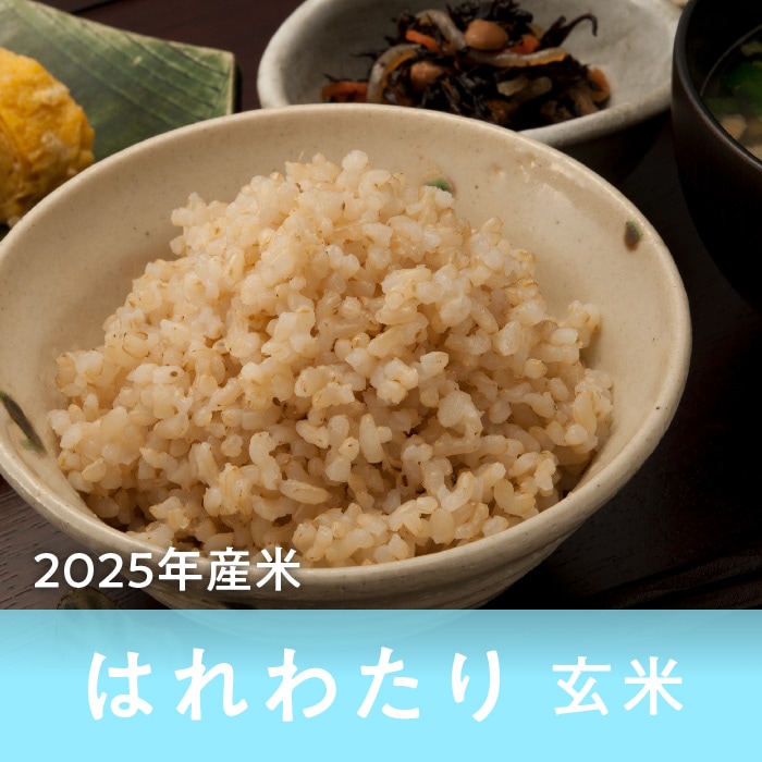 青森県産 はれわたり 玄米