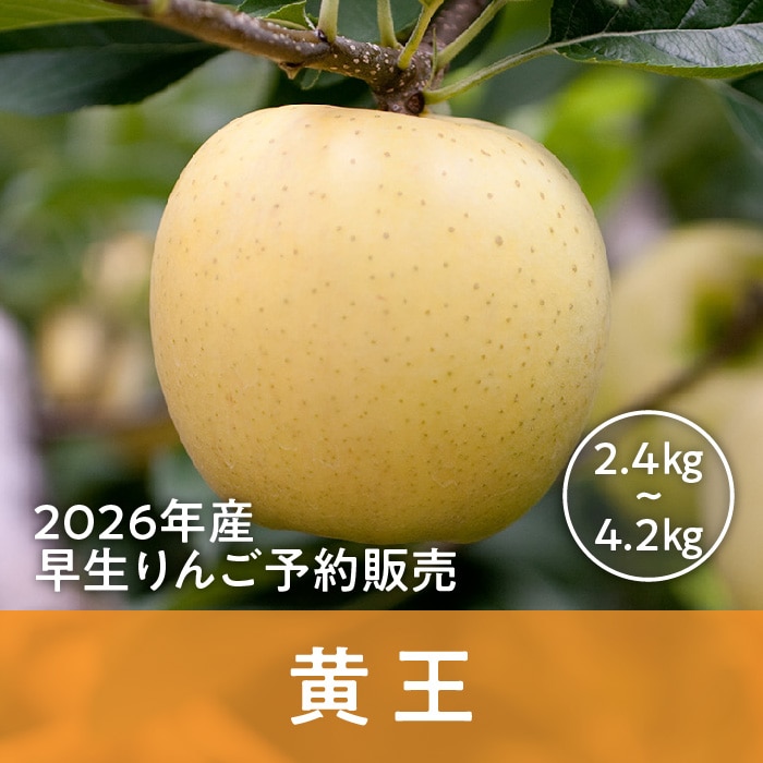 青森県産 黄王