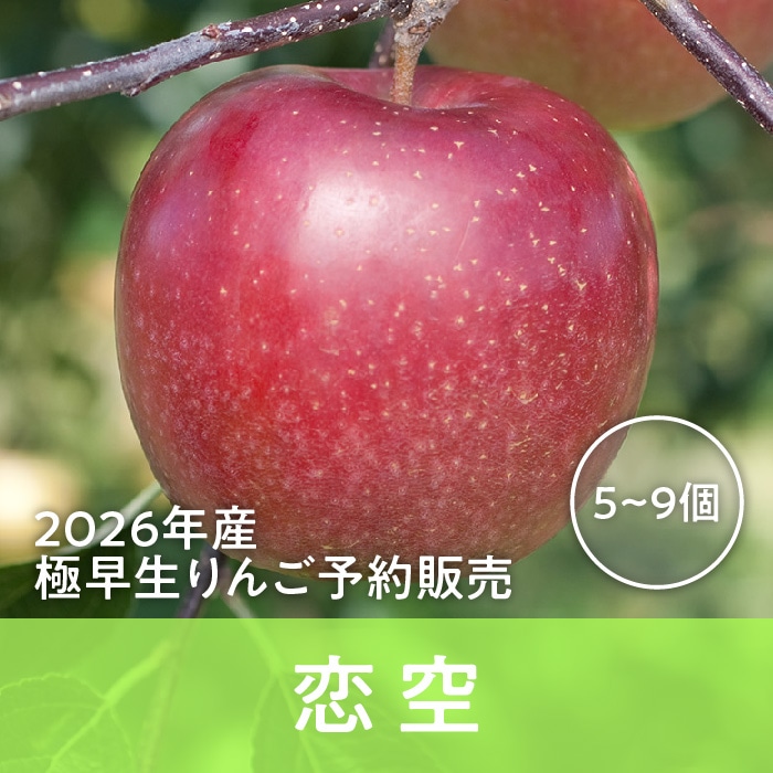 りんご個別販売 | 青森りんごの会オンラインショップ