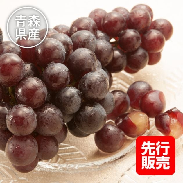 【先行販売特別価格】青森県産 スチューベン