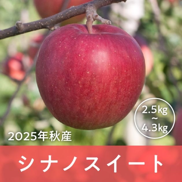 青森県産 シナノスイート