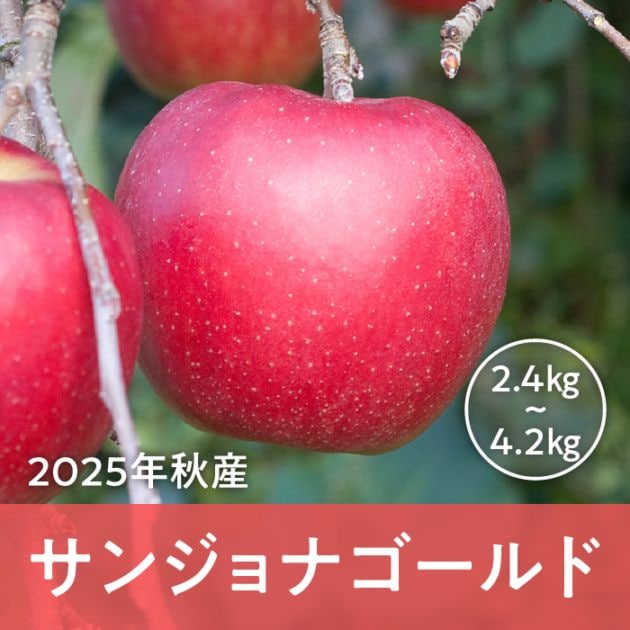 青森県産 サンジョナゴールド