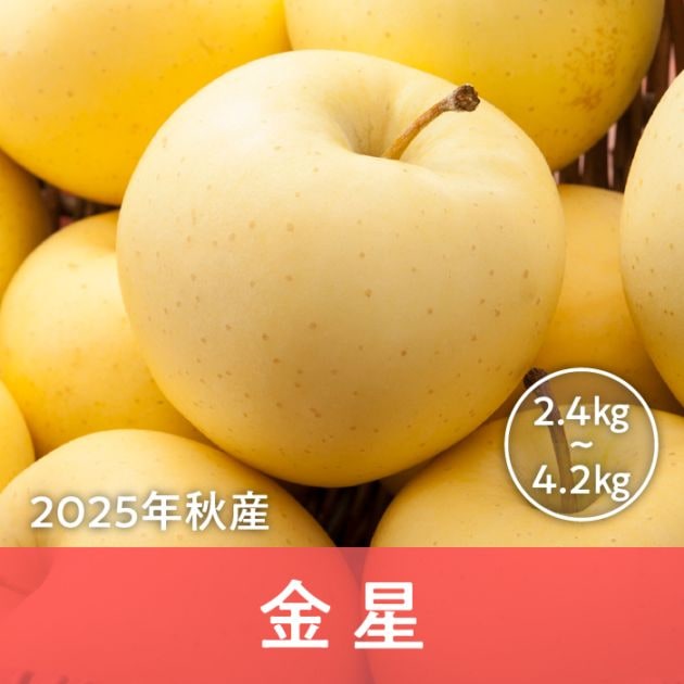 青森県産 金星
