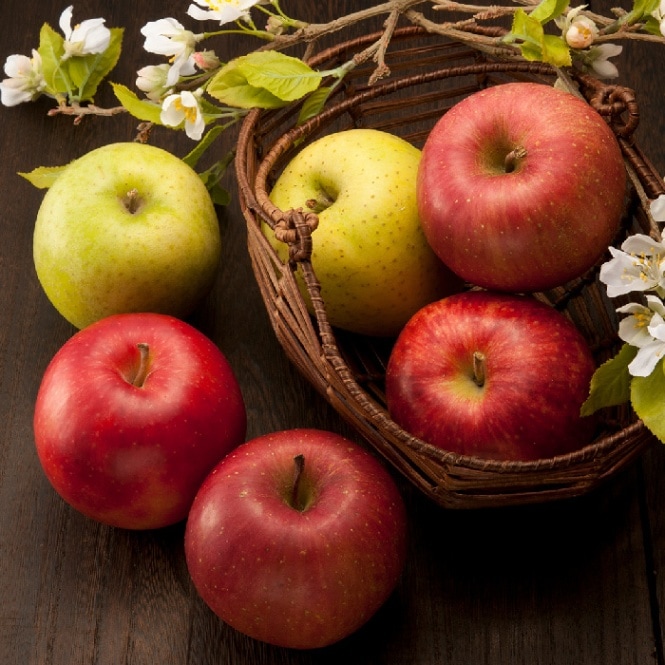 3品種のりんご詰合せ