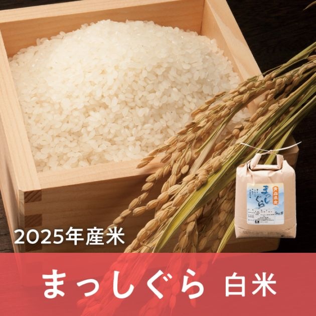 青森県産 まっしぐら 白米