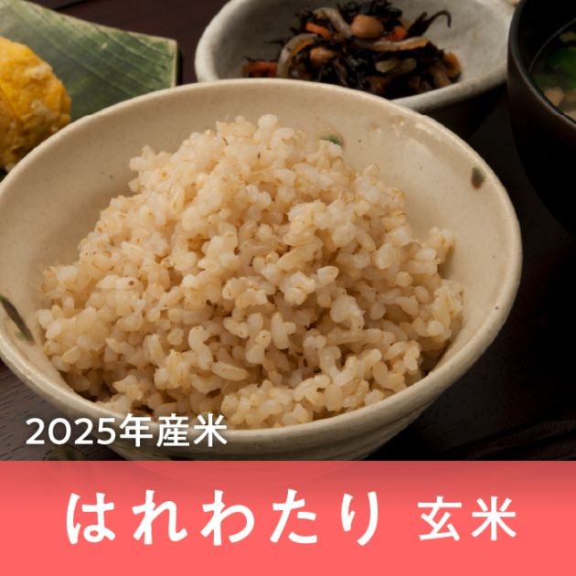 青森県産 はれわたり 玄米