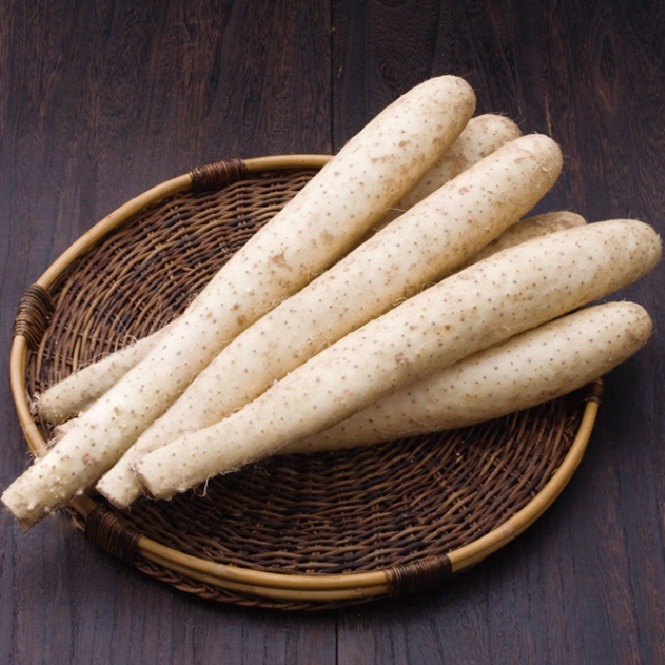 青森県産 長いも