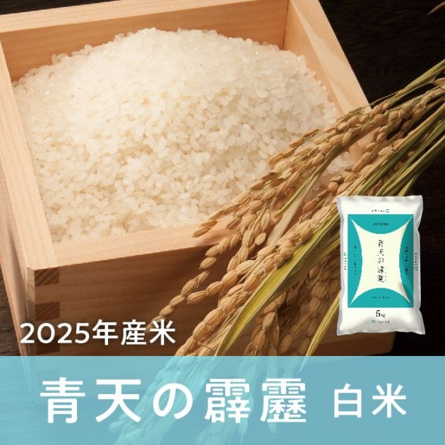 青森県産 青天の霹靂 白米