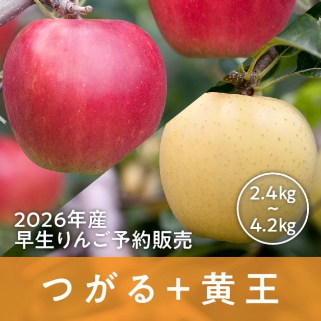 青森県産 つがる+黄王