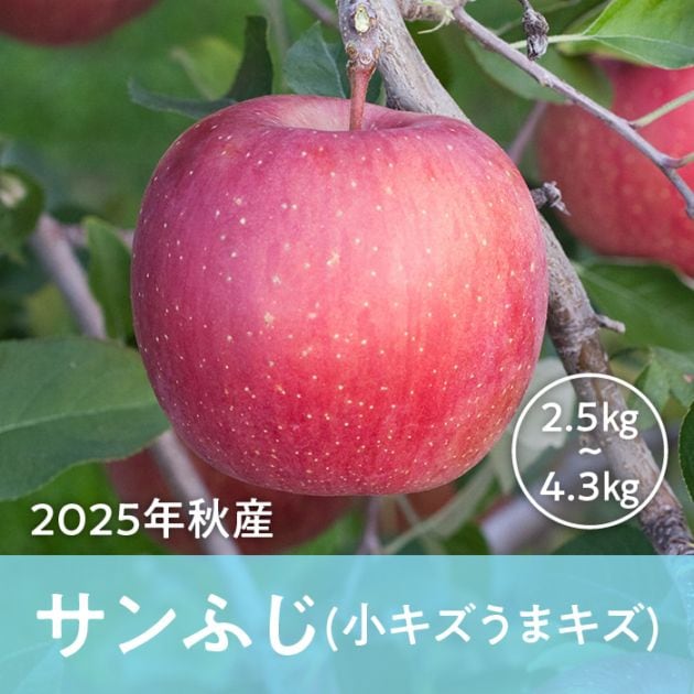 青森県産 サンふじ(小キズうまキズ)