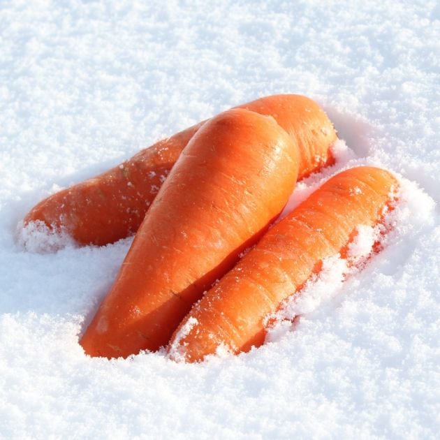 青森県産 ふかうら雪人参