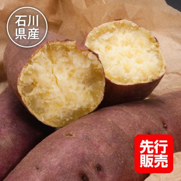 【先行販売特別価格】石川県産 さつまいも 五郎島金時