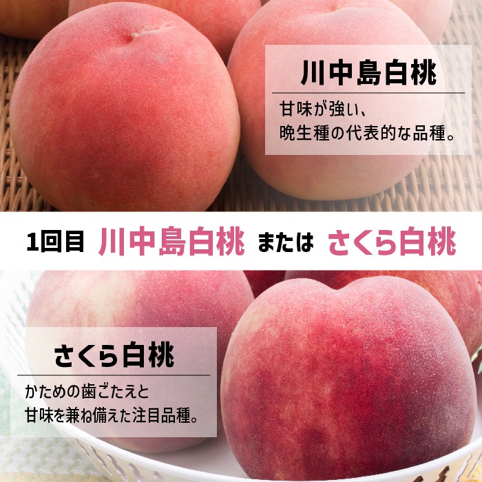 桃色林檎 青森の果物2回お届けお試し便 | 特別企画,夏特別企画 | 青森りんごの会