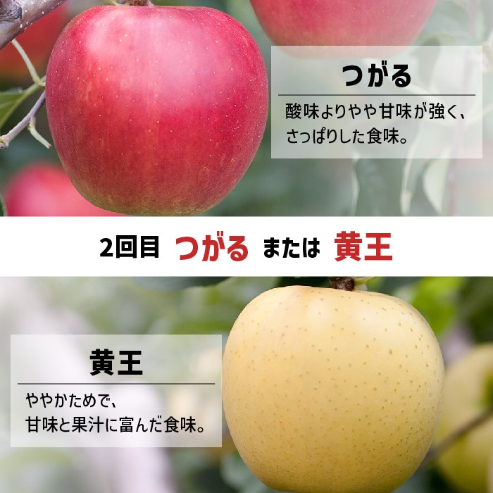 青森の果物2回お届けお試し便 | 特別企画,夏特別企画 | 青森りんごの会