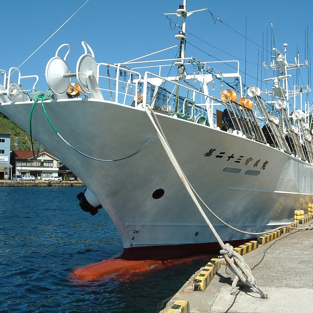 金沢名産 どじょうの蒲焼30本入(特製タレ付)