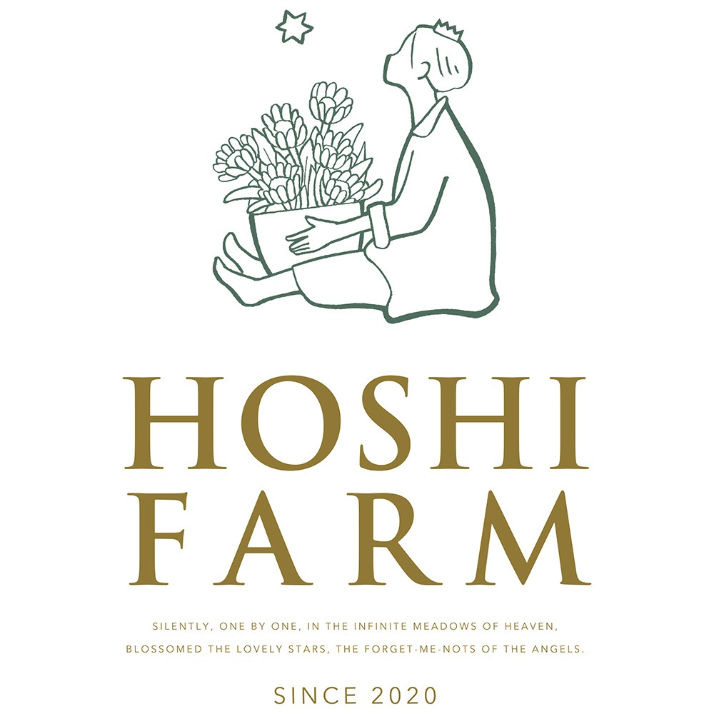 ホシファーム フリルブーケ(パッション8本)&銀座千疋屋 銀座チョコパウンドケーキ