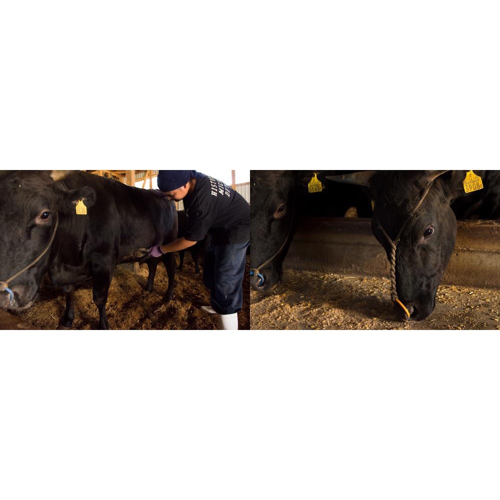 山形 創業大正12年「米沢牛 黄木」 米沢牛すき焼用食べ比べ