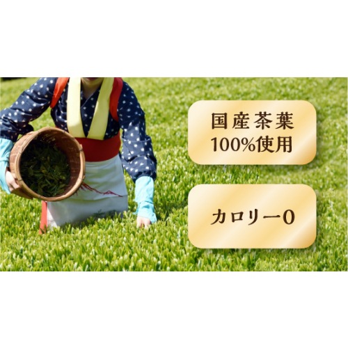 カテキン緑茶W PET350ml 24本