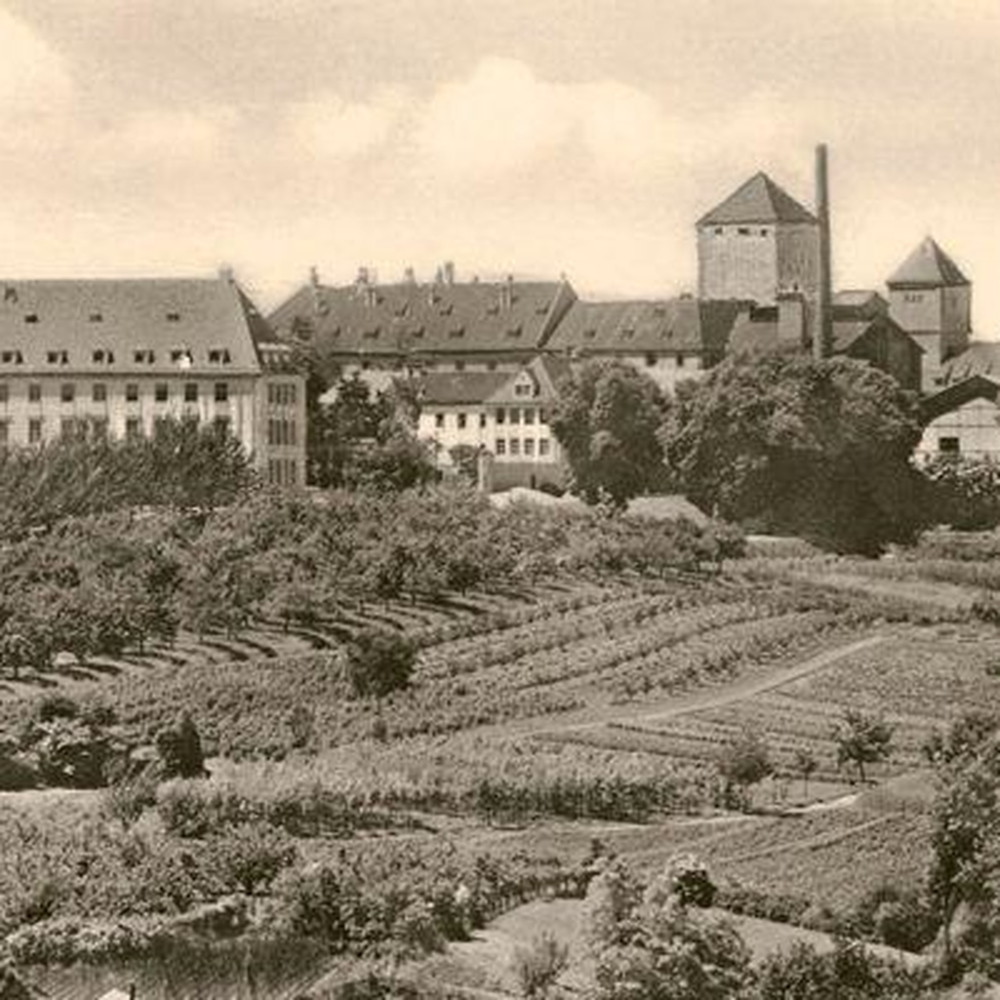 ヴァイエンステファンオリジナルアルコールフリー(ドイツ)瓶500ml【20本(1ケース)】