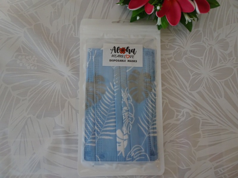�ϥ磻����ޥ�����ALOHA��󥹥ƥ����֥롼����������