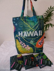 �ϥ磻���ꡡ�������Хå��������Хå�