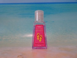 �ϥ磻���ꡡ�ϥ�ɥ��˥������������������ȥץ��ꥢ��29ml