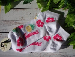 �ϥ磻���� �ϥ磻���󥽥å��� ��ǥ��������ѥ��ʥåץ���ϥ��ӥ�����