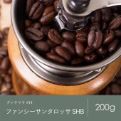 14 グァテマラ ファンシーサンタロッサSHB  コーヒー 青海スペシャルティ珈琲（送料込み）