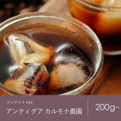 15 グァテマラ アンティグア カルモナ農園SHB コーヒー 青海スペシャルティ珈琲（送料込み）