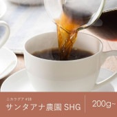 【定期購入】18 ニカラグア サンタアナ農園SHG コーヒー 青海スペシャルティ珈琲