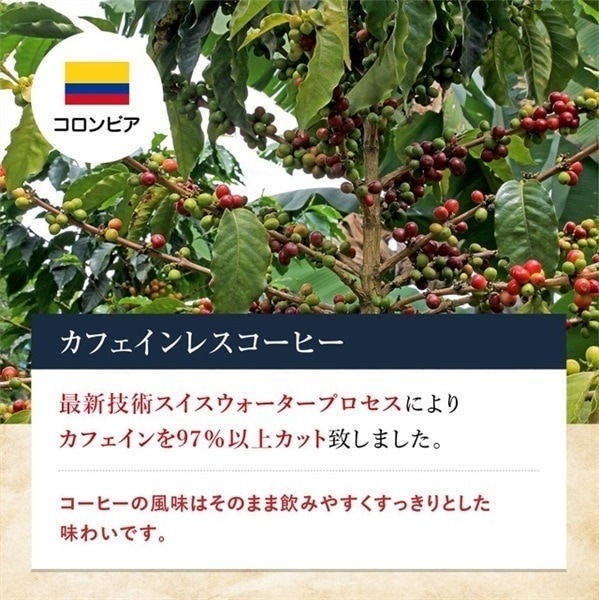 【定期購入】10 コロンビア カフェインレスコーヒー コーヒー 青海スペシャルティ珈琲